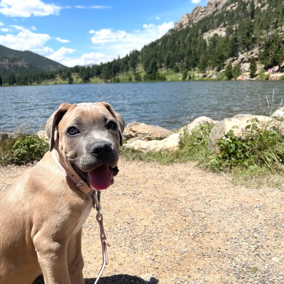 Meet My Family 🌲 - Picture 12 of 16